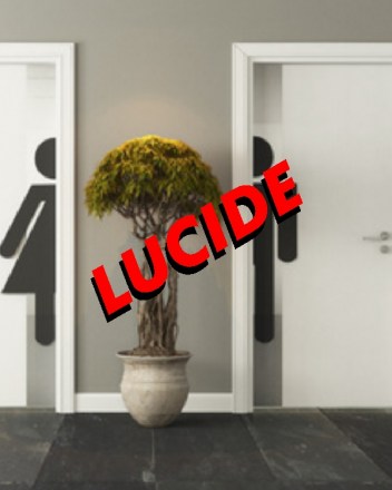 Pellicole-Adesive-Lucide-Porte